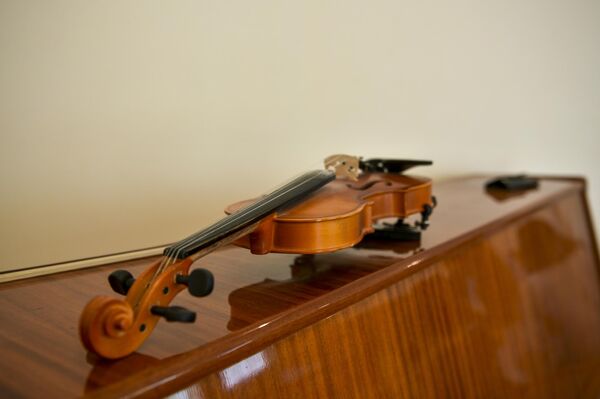 Музыкальный инструмент Скрипачки из восточной Абхазии - Sputnik Абхазия