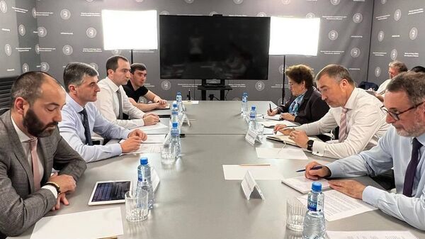  Заместитель Министра иностранных дел Республики Абхазия Ираклий Тужба провел встречу с Сопредседателями Международных женевских дискуссий - Sputnik Аҧсны