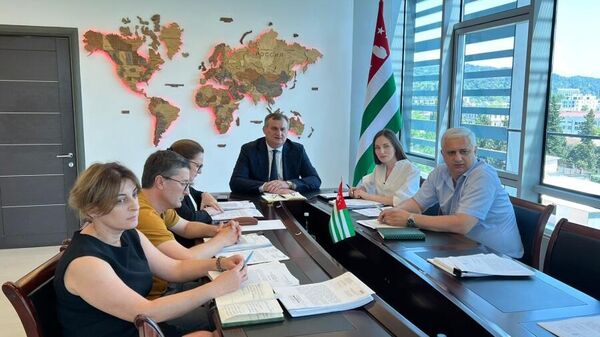 Министр здравоохранения Эдуард Бутба провел совещание по вопросам гармонизации законодательства - Sputnik Абхазия