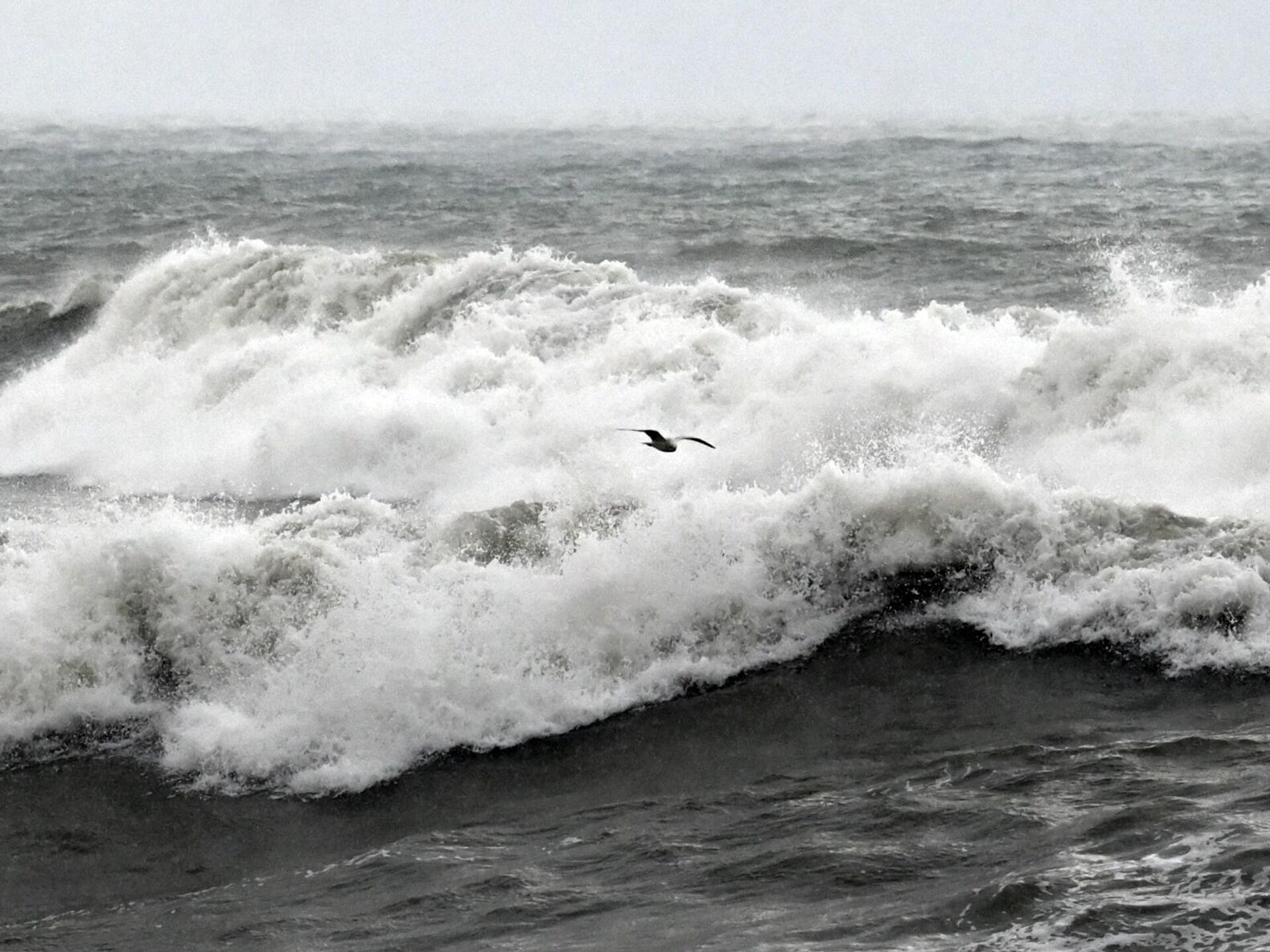 Шторм в пицунде видео. ЦУНАМИ на черном море. Море слов. Моря Европы. 11-12 Июля шторм на черном море.