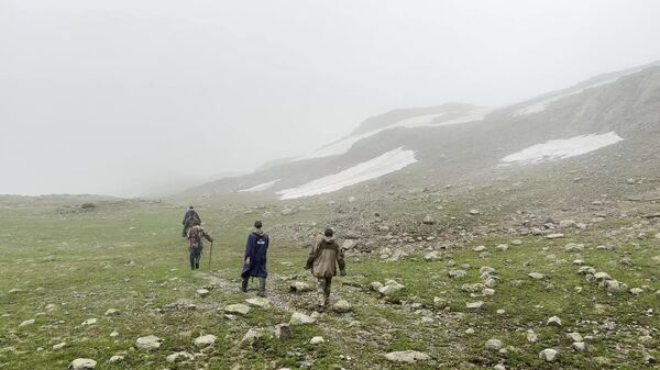 Сотрудники МЧС спасли мужчину, пропавшего в горах Абхазии четыре дня назад - Sputnik Аҧсны