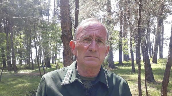 Джергения: в Абхазии начинает исчезать институт лесников и лесничих  - Sputnik Абхазия
