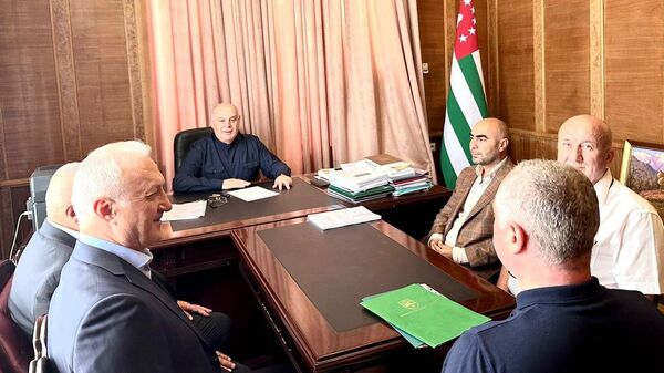 Президент Абхазии Аслан Бжания принял представителей Федерации Абхазских культурных центров в Турции - Sputnik Абхазия