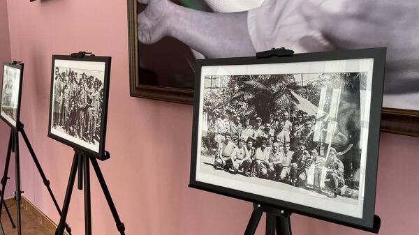 Открылась фотовыставка в память павших добровольцев в Отечественной войне народа Абхазии - Sputnik Абхазия