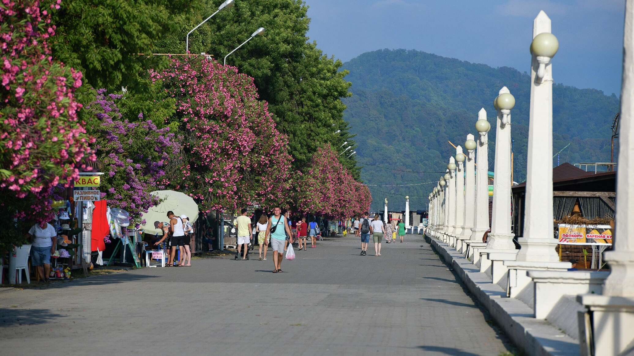 Абхазия 23 год. Лучезарный гагра абхазия. Абхазия 23 год. Абхазия фото туристов. Абхазия 2023.