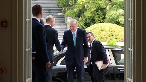 Президент РФ В. Путин провел переговоры с президентом Турции Р. Т. Эрдоганом - Sputnik Абхазия