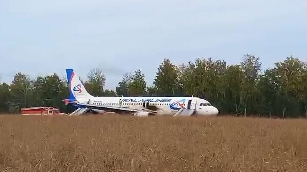 Пассажирский самолёт совершил вынужденную посадку в Новосибирской области  - Sputnik Абхазия