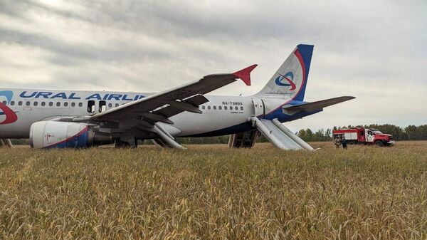 Пассажирский самолёт совершил вынужденную посадку в Новосибирской области  - Sputnik Аҧсны