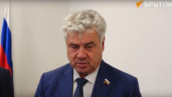 Депутатская встреча: что обсудили абхазские и российские парламентарии - Sputnik Абхазия