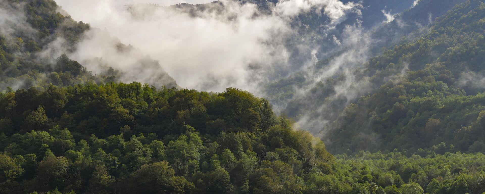 Поездка в Кодорское ущелье - Sputnik Абхазия, 1920, 25.06.2025