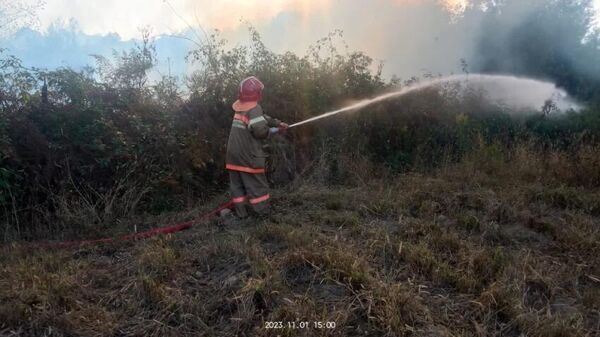 Почти 20 гектаров сухостоя загорелись в Очамчырском районе - Sputnik Аҧсны
