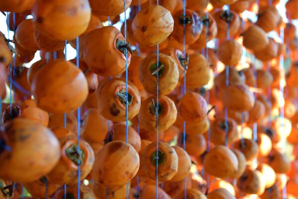 После сушки плоды теряют 70% от своего изначального веса. - Sputnik Абхазия