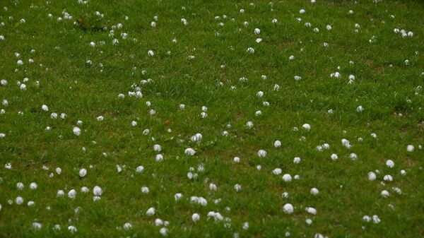 Крупный град в Омске - Sputnik Абхазия