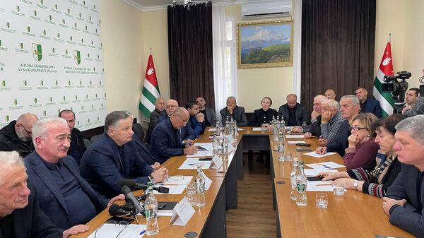 Проблемы энергетики обсудили в Общественной палате Абхазии - Sputnik Абхазия