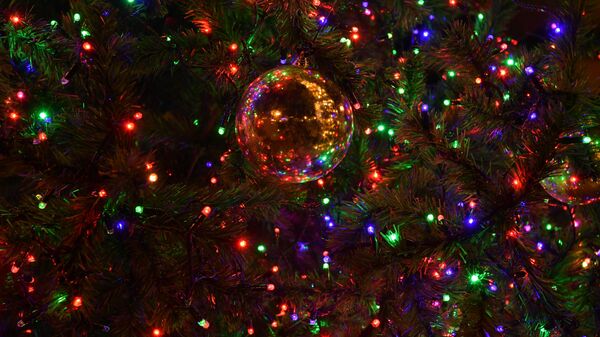 Новогодние огни зажглись на главной елке столицы - Sputnik Абхазия