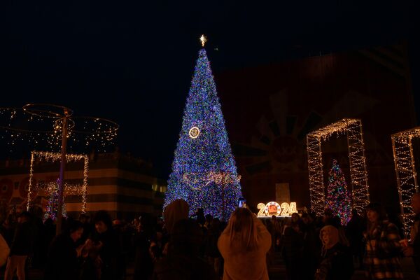Новогодние огни зажглись на главной елке столицы Абхазии.  - Sputnik Абхазия