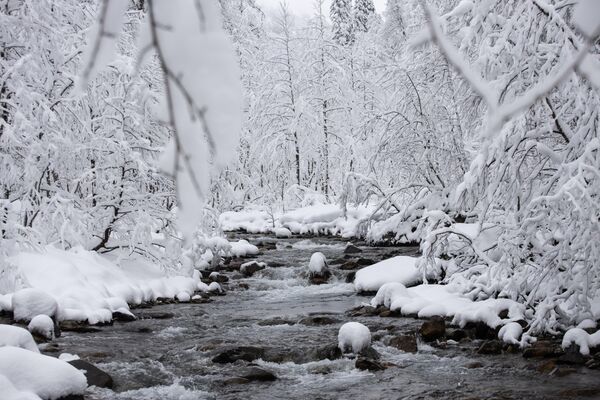 Не так далеко от озера &quot;Рица&quot; в предгорье открываются красивые снежные пейзажи. - Sputnik Абхазия