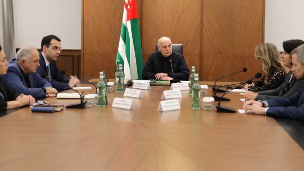 Бжания встретился с представителями фонда Национальное интеллектуальное развитие - Sputnik Абхазия