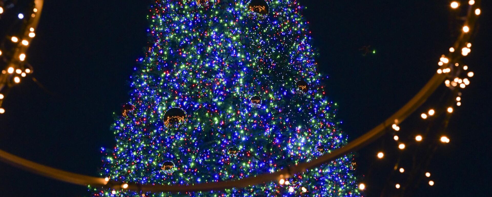 Новогодние огни зажглись на главной елке столицы - Sputnik Абхазия, 1920, 21.12.2025