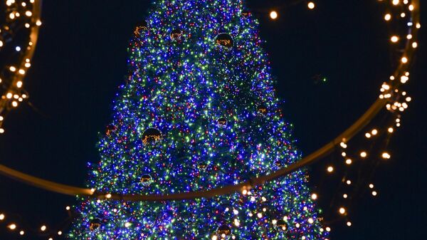 Новогодние огни зажглись на главной елке столицы - Sputnik Абхазия