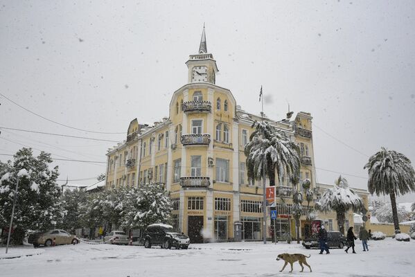Здание администрации Сухума укрыто зимним одеялом. - Sputnik Абхазия