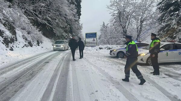 Проезд на Рицу без зимней резины запрещен, предупредили в пресс-службе МВД Абхазии - Sputnik Аҧсны