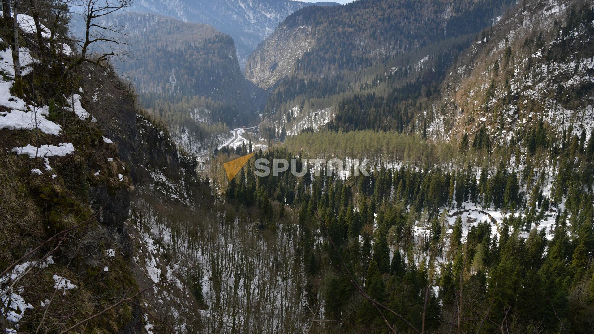 Рицинский реликтовый национальный парк - Sputnik Абхазия, 1920, 14.02.2024