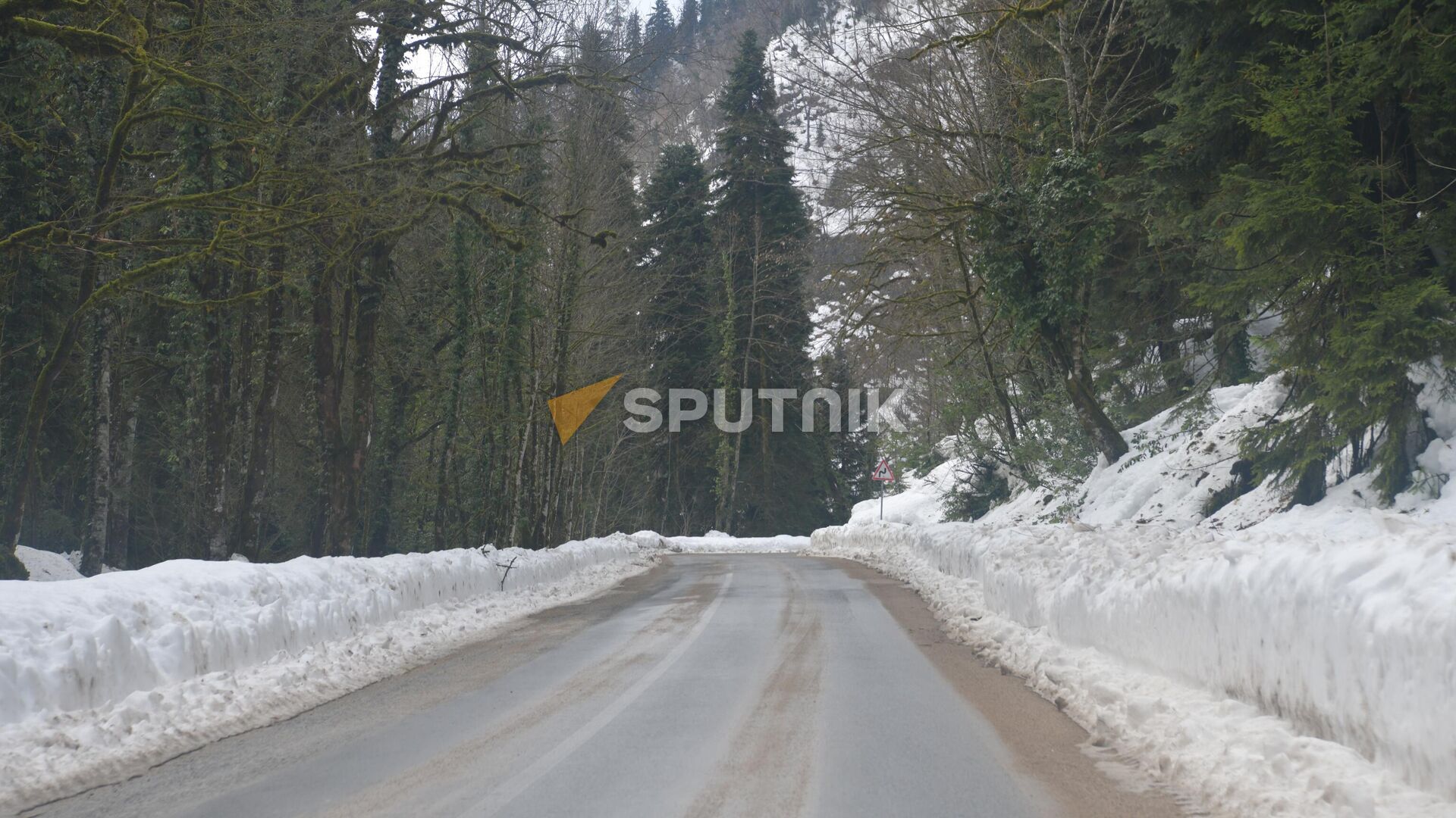 Рицинский реликтовый национальный парк Рицинский реликтовый национальный парк - Sputnik Аҧсны, 1920, 02.01.2026