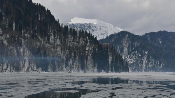 Рицинский реликтовый национальный парк - Sputnik Аҧсны