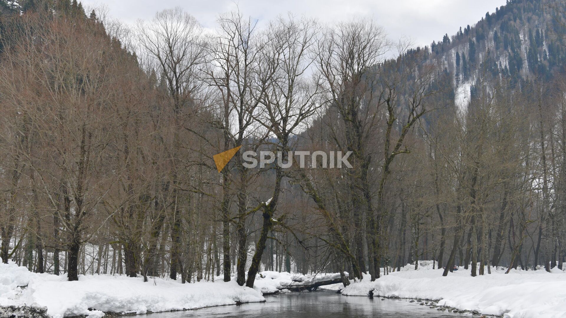 Рицинский реликтовый национальный парк - Sputnik Абхазия, 1920, 02.01.2026