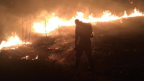 Пожарные потушили возгорания сухостоя в Очамчырском районе - Sputnik Аҧсны