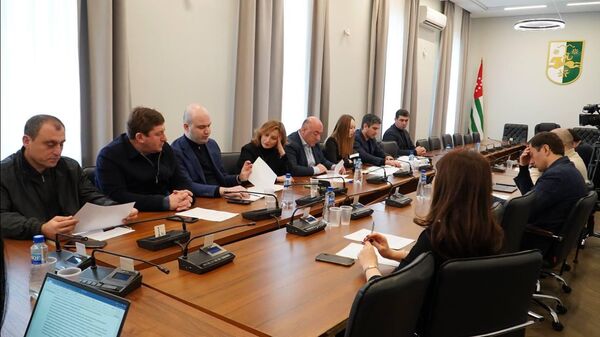 Заседание комитета по международным, межпарламентским связям и связям с соотечественниками - Sputnik Абхазия