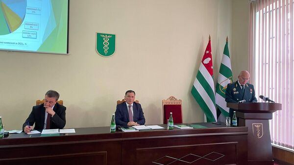 Итоги 2023 года подвели в Государственном таможенном комитете Абхазии - Sputnik Абхазия