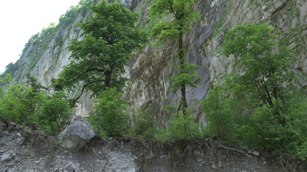 Юпшарский каньон - Sputnik Абхазия