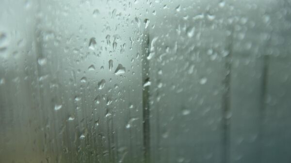 Капли дождя на стекле  - Sputnik Абхазия