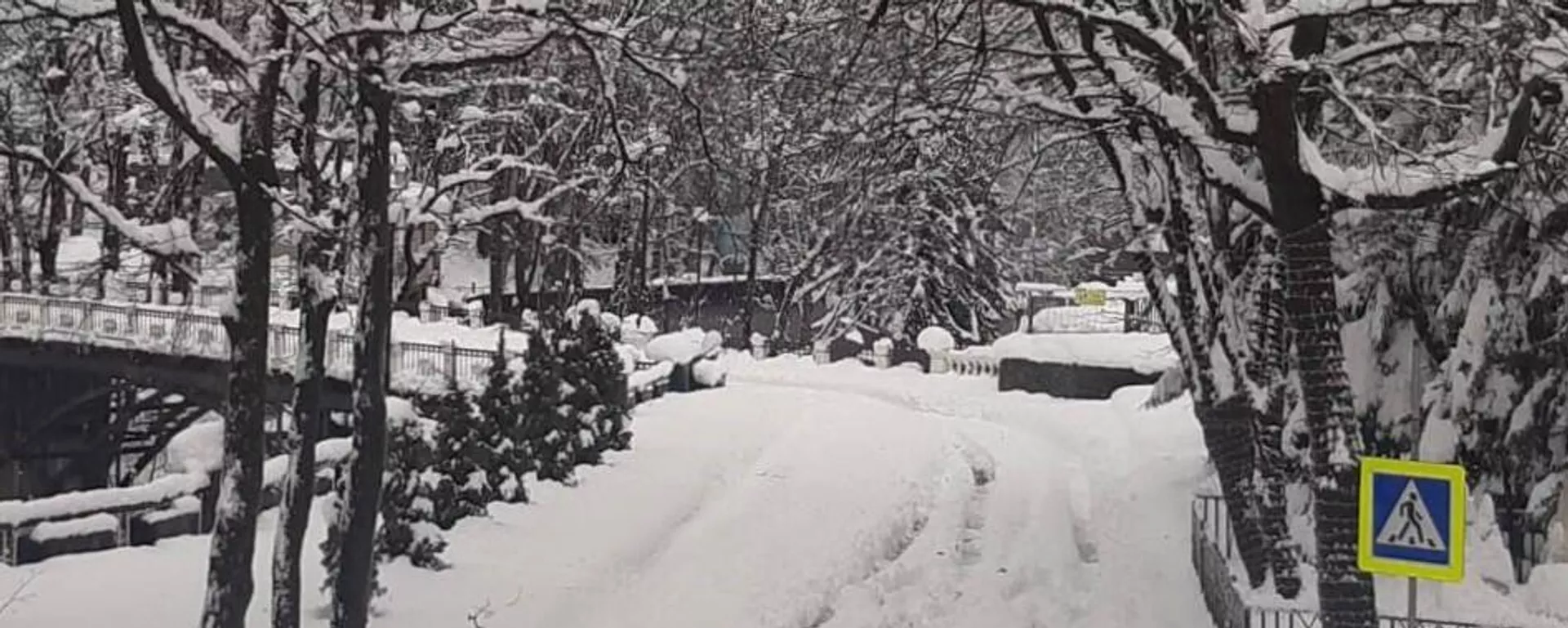 Снегоуборочная машина в рицинском Нацпарке  - Sputnik Абхазия, 1920, 17.01.2026