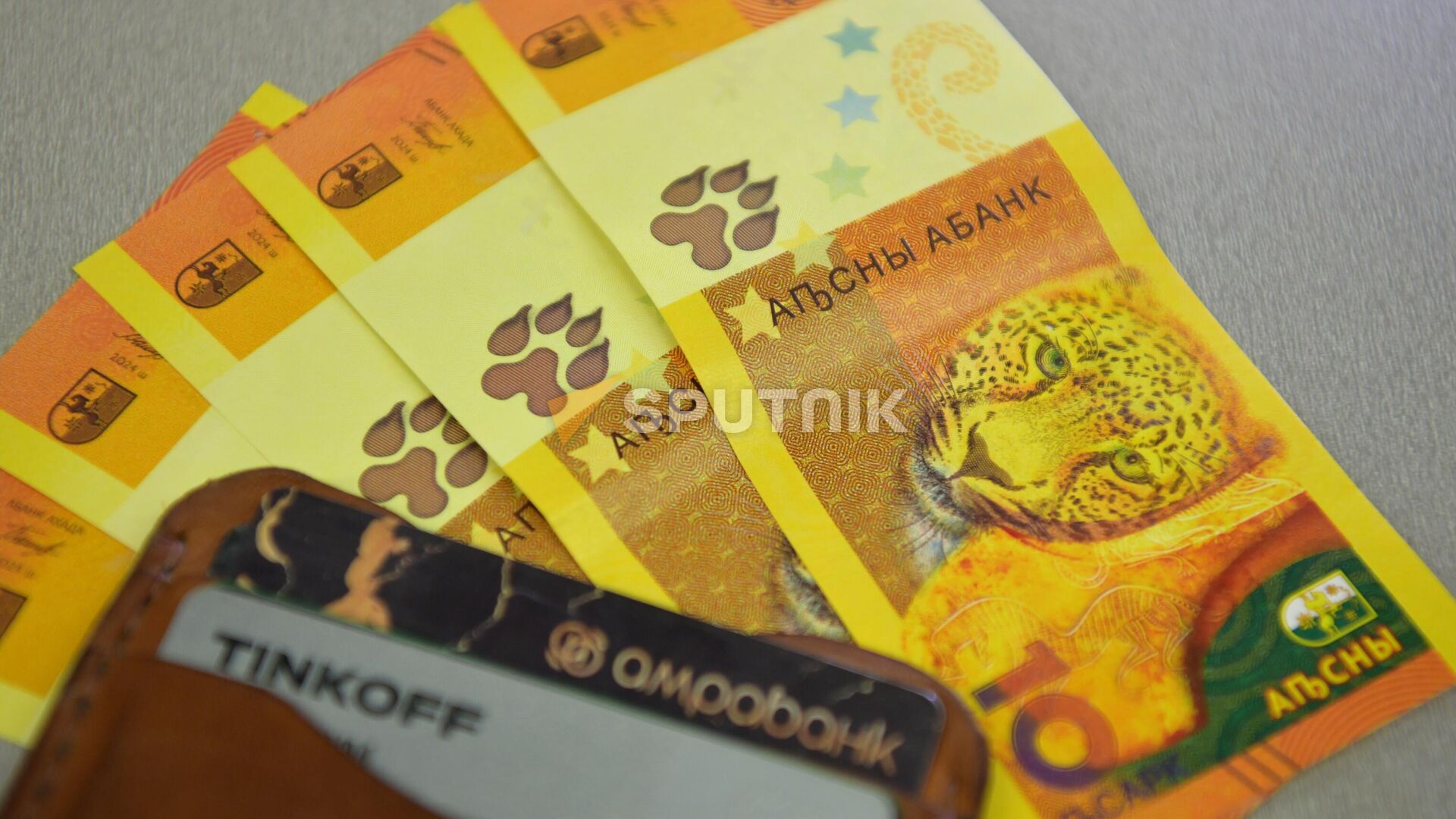 Банк Абхазии выпустил новую памятную банкноту Леопард - Sputnik Абхазия, 1920, 30.06.2024