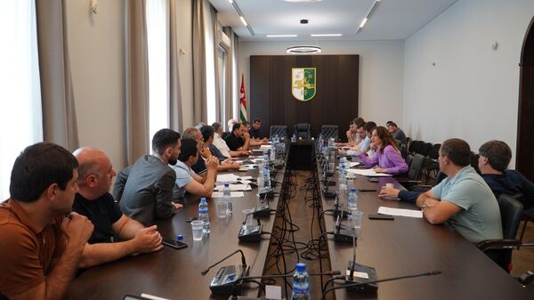 Участники заседания парламентского Комитета обсудили вопросы инвестиций в экономику республики  - Sputnik Абхазия