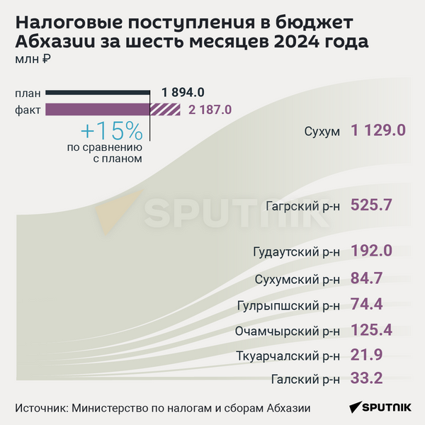 Налоговые поступления в бюджет Абхазии за шесть месяцев 2024 года - Sputnik Абхазия