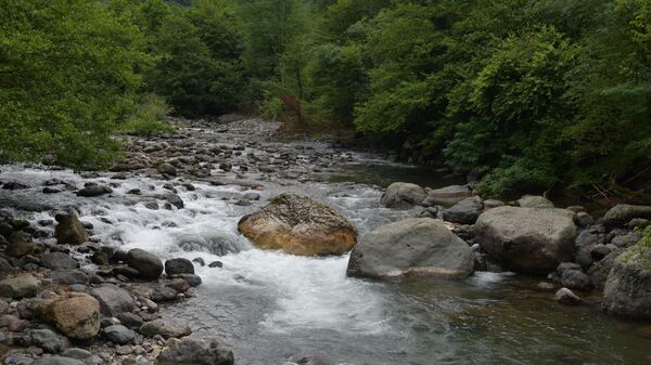 Русло реки Моква - Sputnik Абхазия