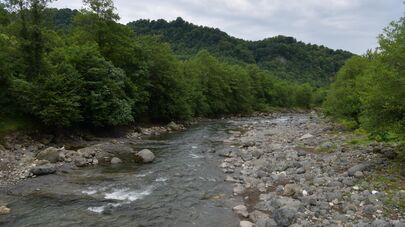 Русло реки Моква