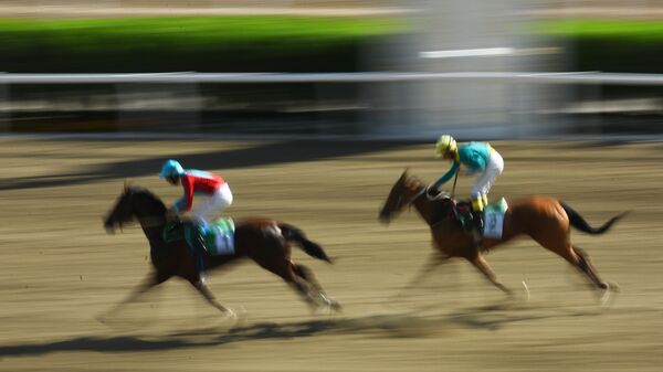 Международный конкурс ахалтекинских коней в Ашхабаде - Sputnik Абхазия