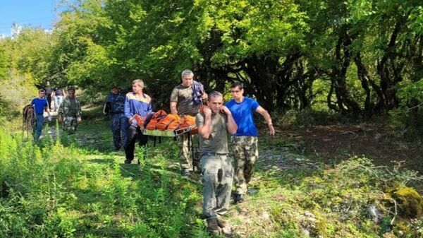 Сотрудник Черноморэнерго пострадал при расчистке высоковольтных линий электропередач в ущелье реки Шицкуара Сухумского района.  - Sputnik Абхазия