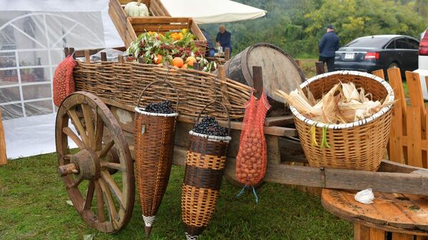 Праздник урожая в селе Лыхны - Sputnik Аҧсны