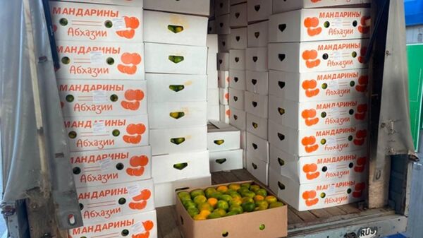 Семь тысяч тонн сельхозпродукции экспортировано из Абхазии в Россию - Sputnik Аҧсны