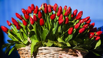 Продажа цветов в Международный женский день