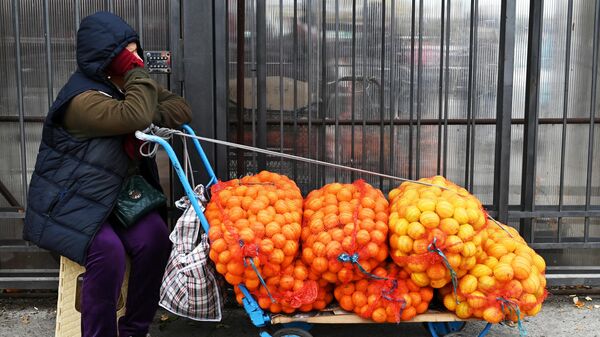 Продажа мандаринов на границе России и Абхазии - Sputnik Абхазия