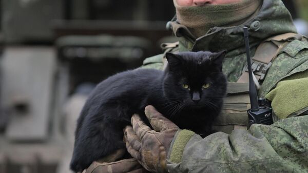 Боевая работа ПВО ЦВО на Покровском направлении в ДНР - Sputnik Абхазия