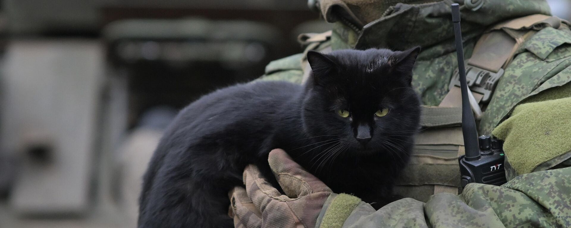 Боевая работа ПВО ЦВО на Покровском направлении в ДНР - Sputnik Абхазия, 1920, 14.11.2025