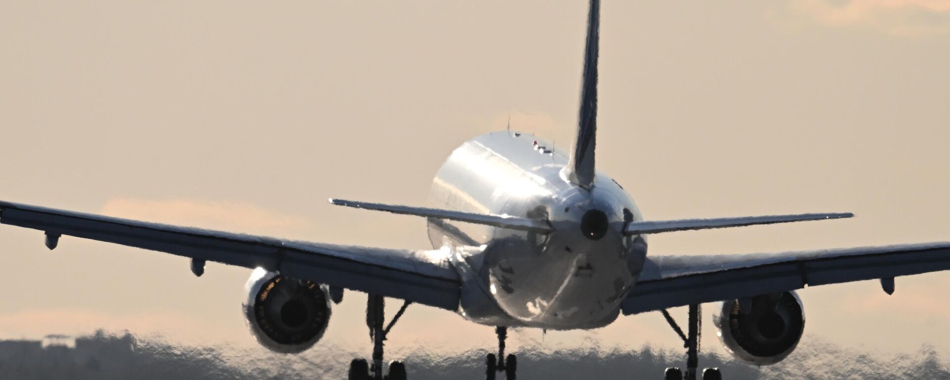 Самолет AIRBUS A320 авиакомпании Аэрофлот заходит на посадку в международном аэропорту Шереметьево им. А.С. Пушкина. - Sputnik Абхазия, 1920, 28.07.2025